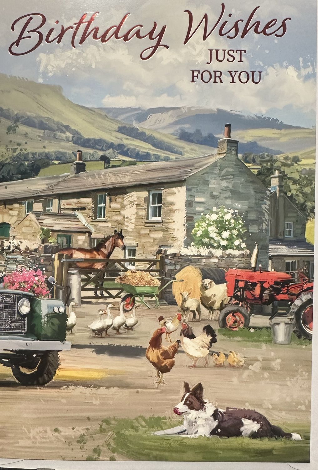 Open Birthday farm 2