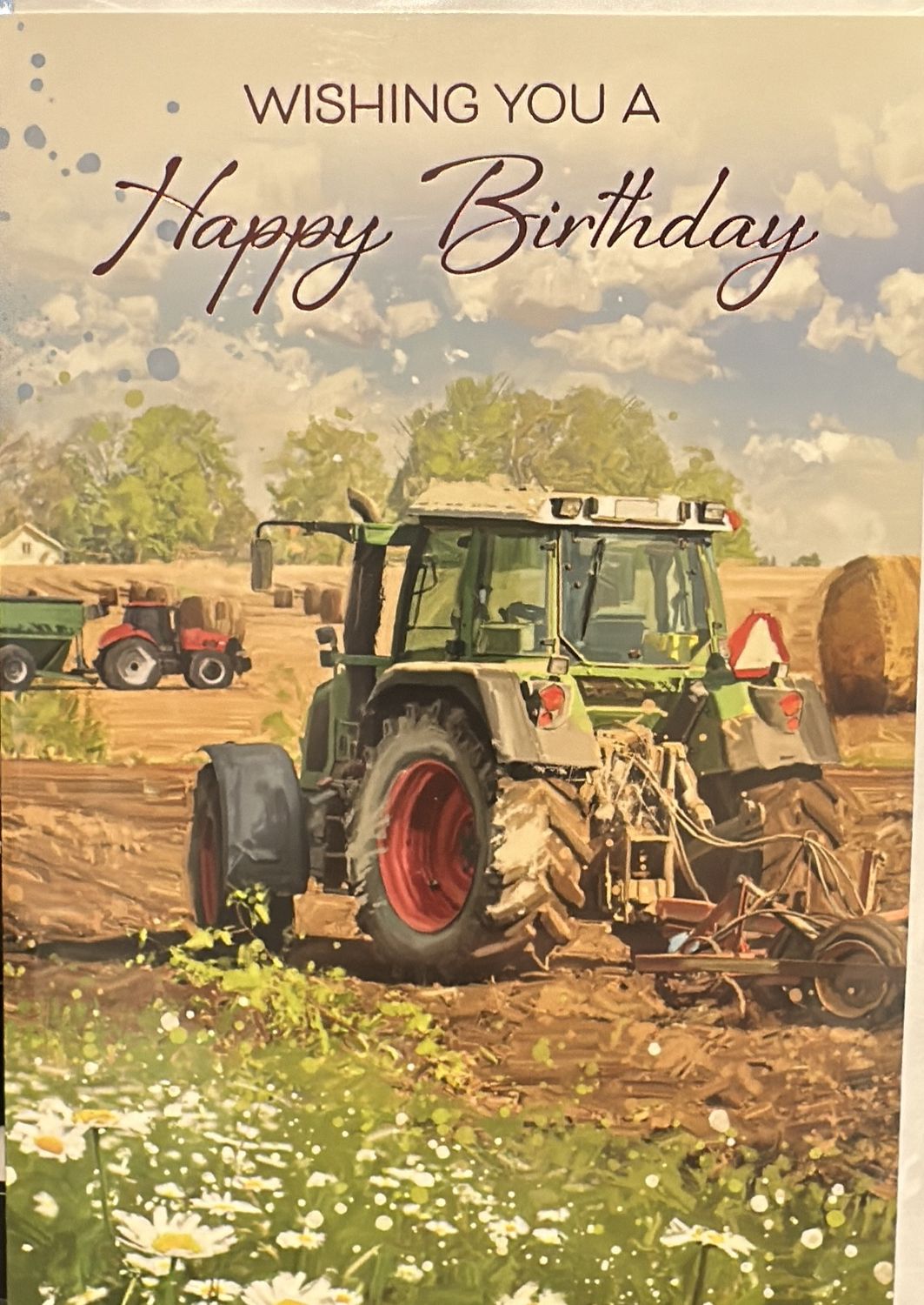 Open birthday farm 6