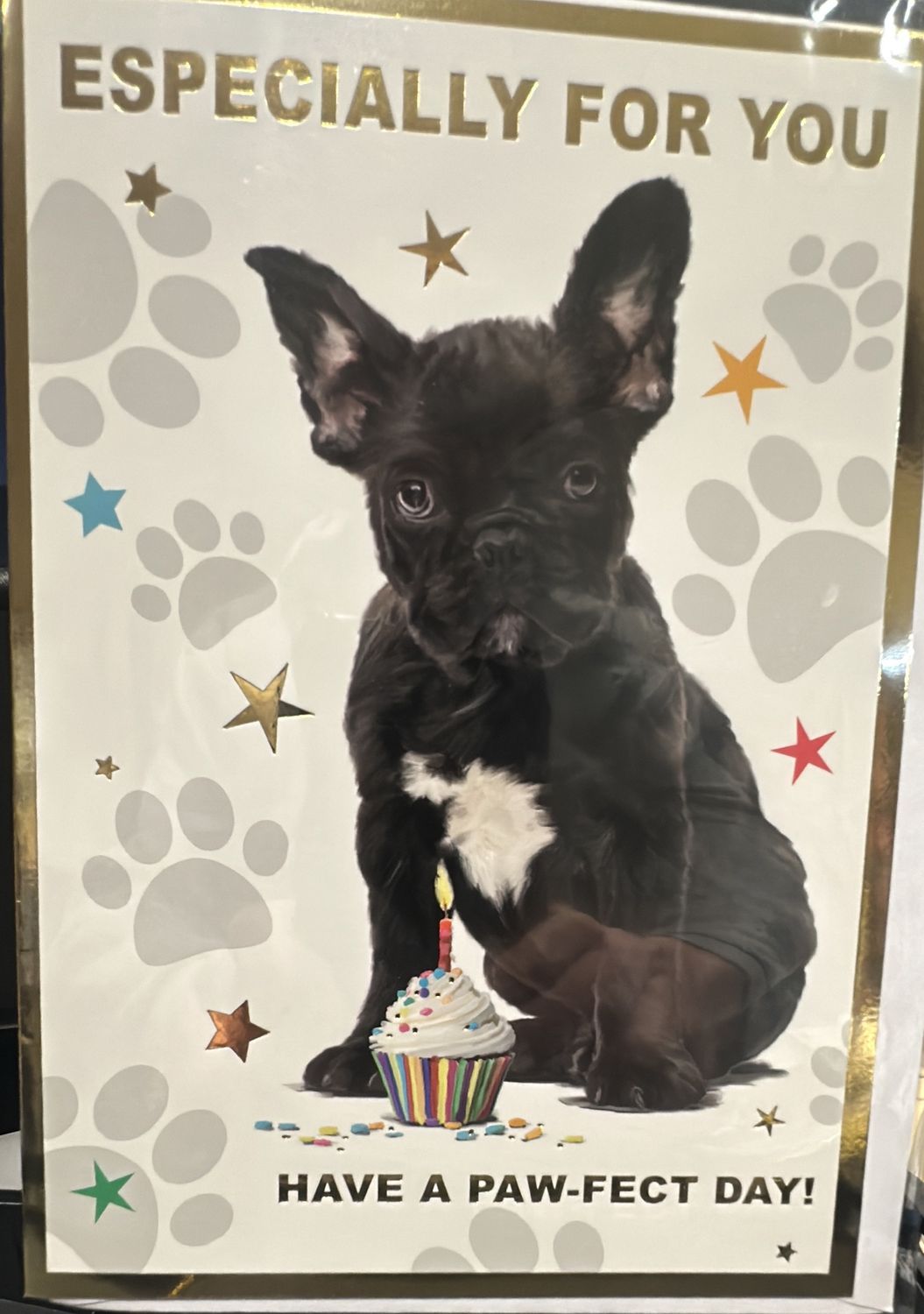 Open birthday dog 3