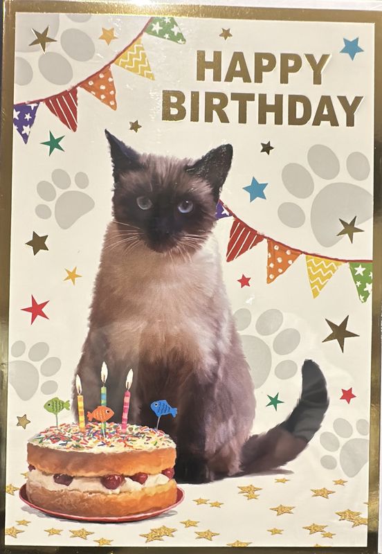 Open birthday cat 1