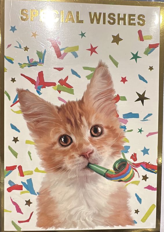 Open birthday cat 2