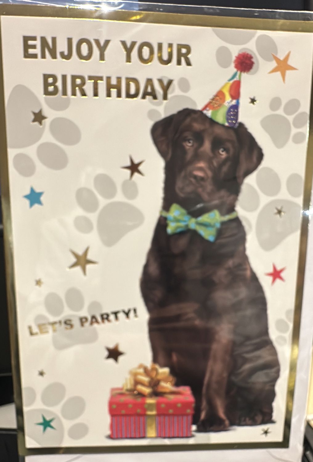 Open birthday dog 4