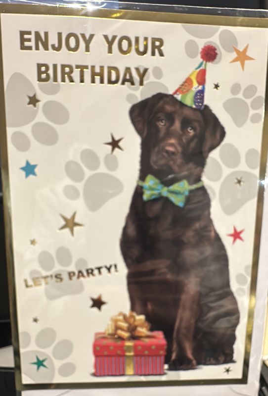 Open birthday dog 4