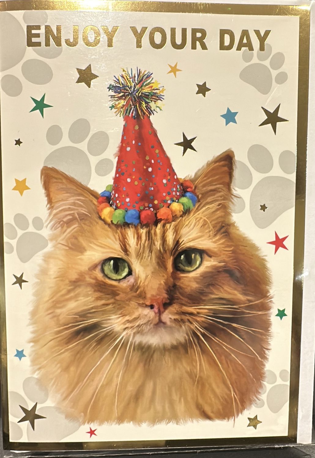 Open birthday cat 3
