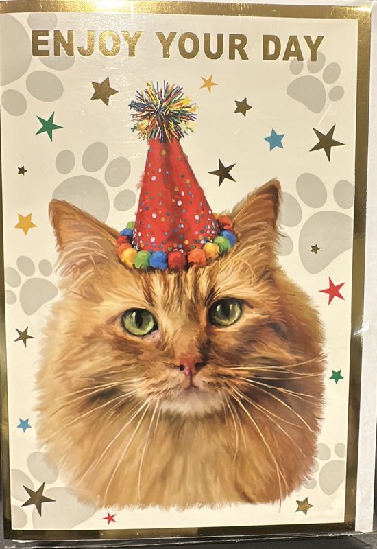 Open birthday cat 3