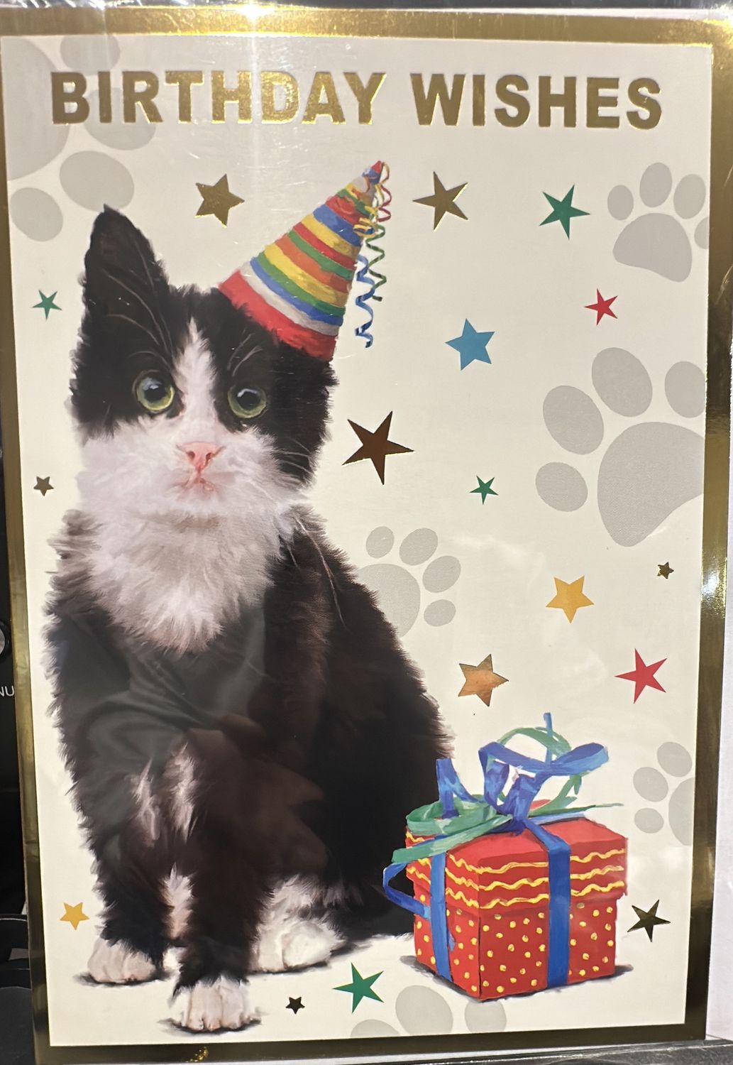 Open birthday cat 6