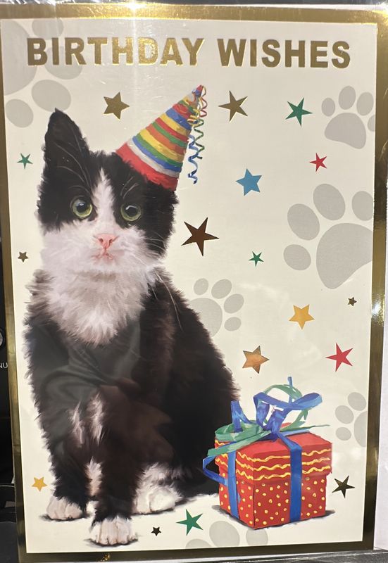 Open birthday cat 6
