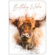 Open Birthday Highland Cow OTB17923