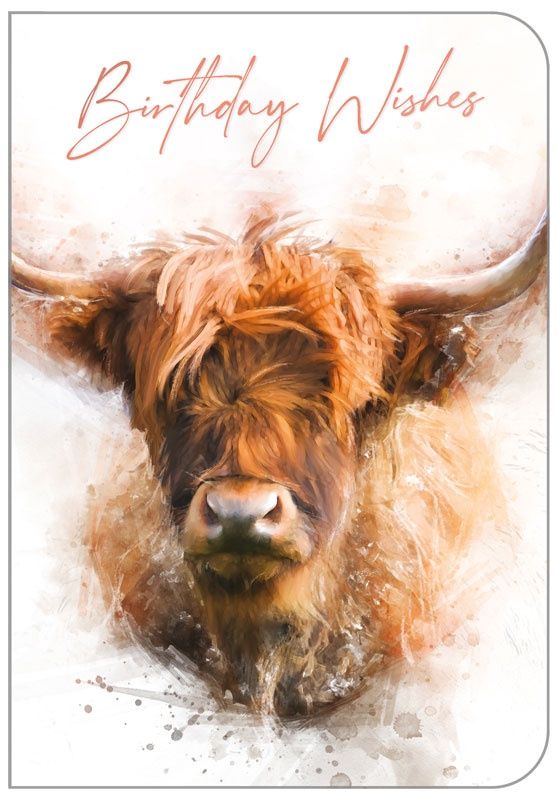 Open Birthday Highland Cow OTB17923