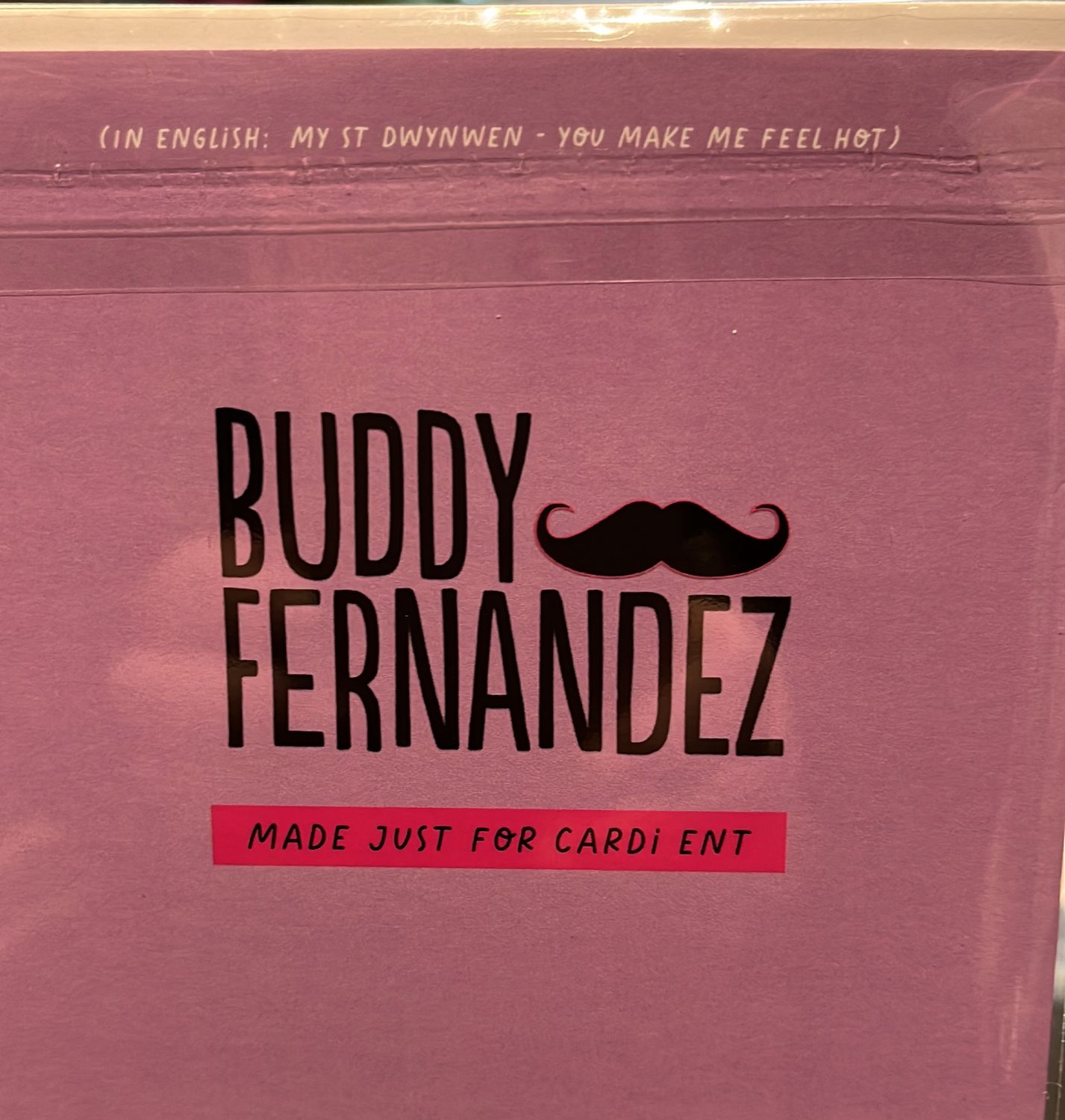 Fy Santes Dwynwen i (Ti'n Hala Fi