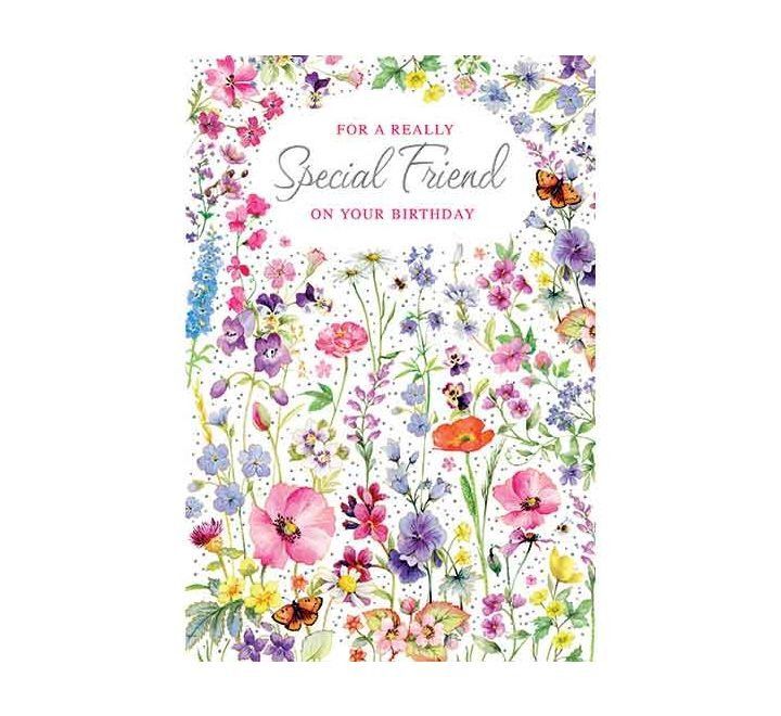 C50 SPECIAL FRIEND ELVIN E/DAY 662502