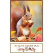C50 SQUIRREL BIRTHDAY CARD
