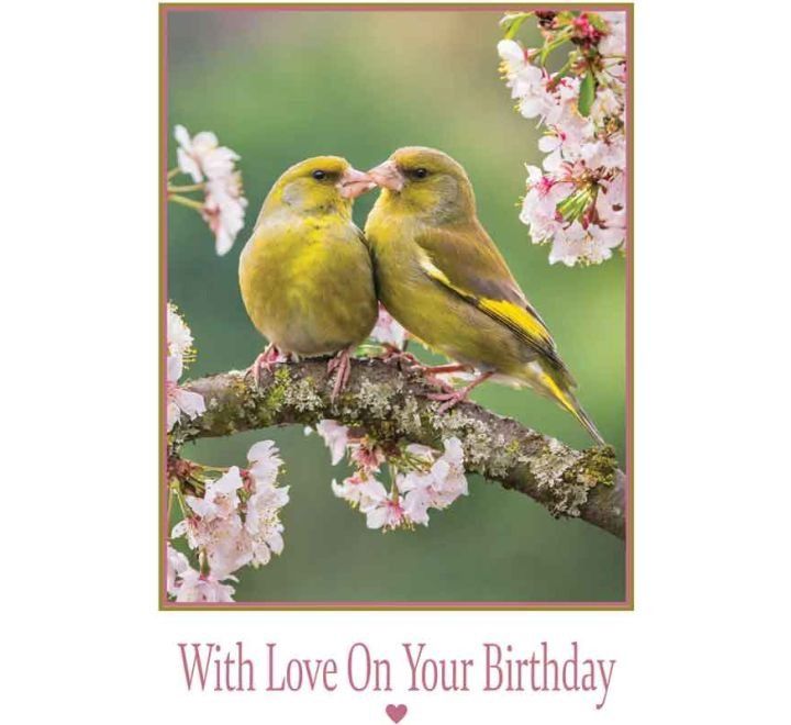 C50 KISSING BIRDS BIRTHDAY CARD