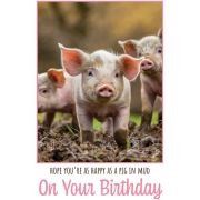 C50 PIGLETS BIRTHDAY CARD