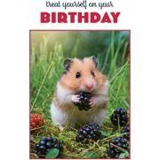 C50 HAMSTER BIRTHDAY CARD