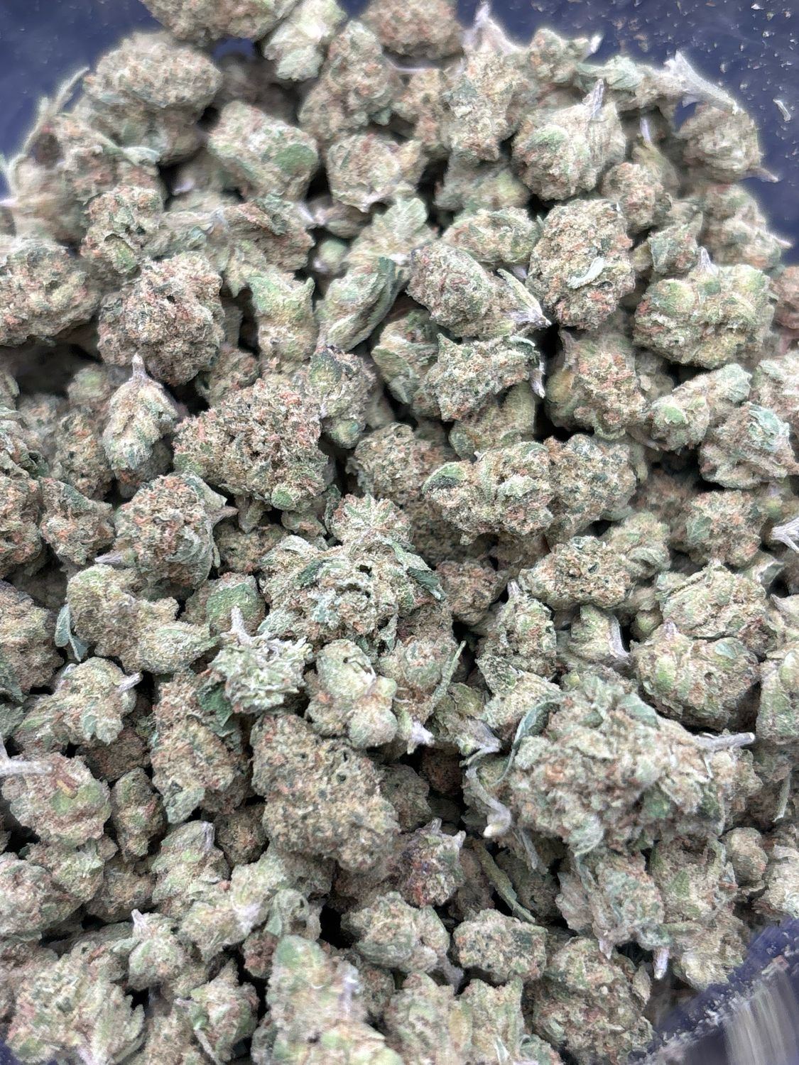 OG Wellness - Blueberry x Lemon Bar - Hybrid