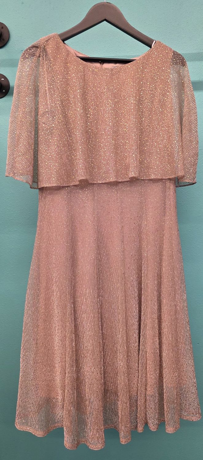 Size: 18   Brand: Danny and Nicole