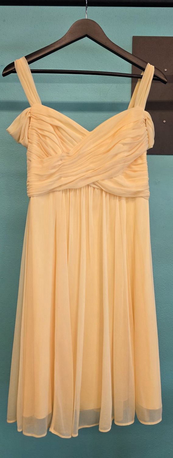 Size: 4      Brand: Davids Bridal