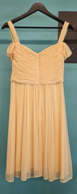 Size: 4      Brand: Davids Bridal