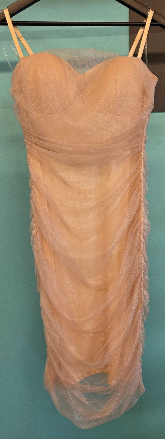 Size: L (12)    Brand: Fashion Nova