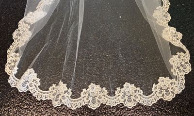 Ivory - Cathedral Length - Full Lace Edge - Veil
