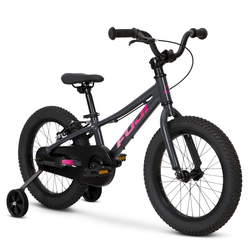 FUJI DYNAMITE 16 COASTER DARK GRAY