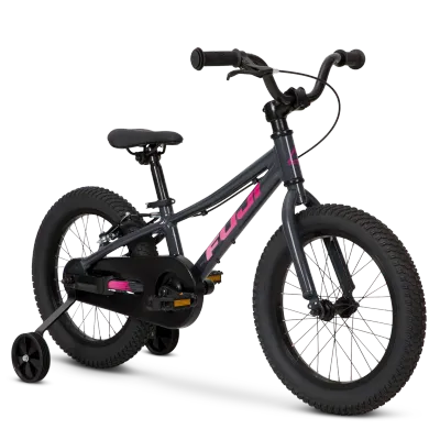 FUJI DYNAMITE 16 COASTER DARK GRAY