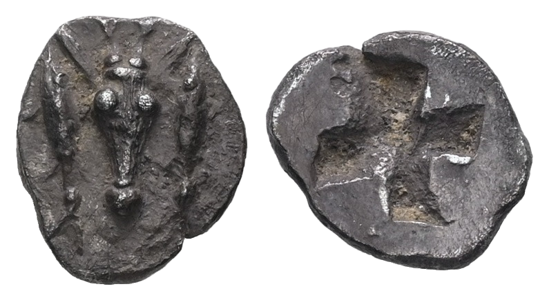 Mysia, Kyzikos. AR Hemiobol, circa 550-500 BC ( 0.44g - 9.18 mm ) Mysia, Kyzikos. AR Hemiobol, circa 550-500 BC ( 0.44g - 9.18 mm )