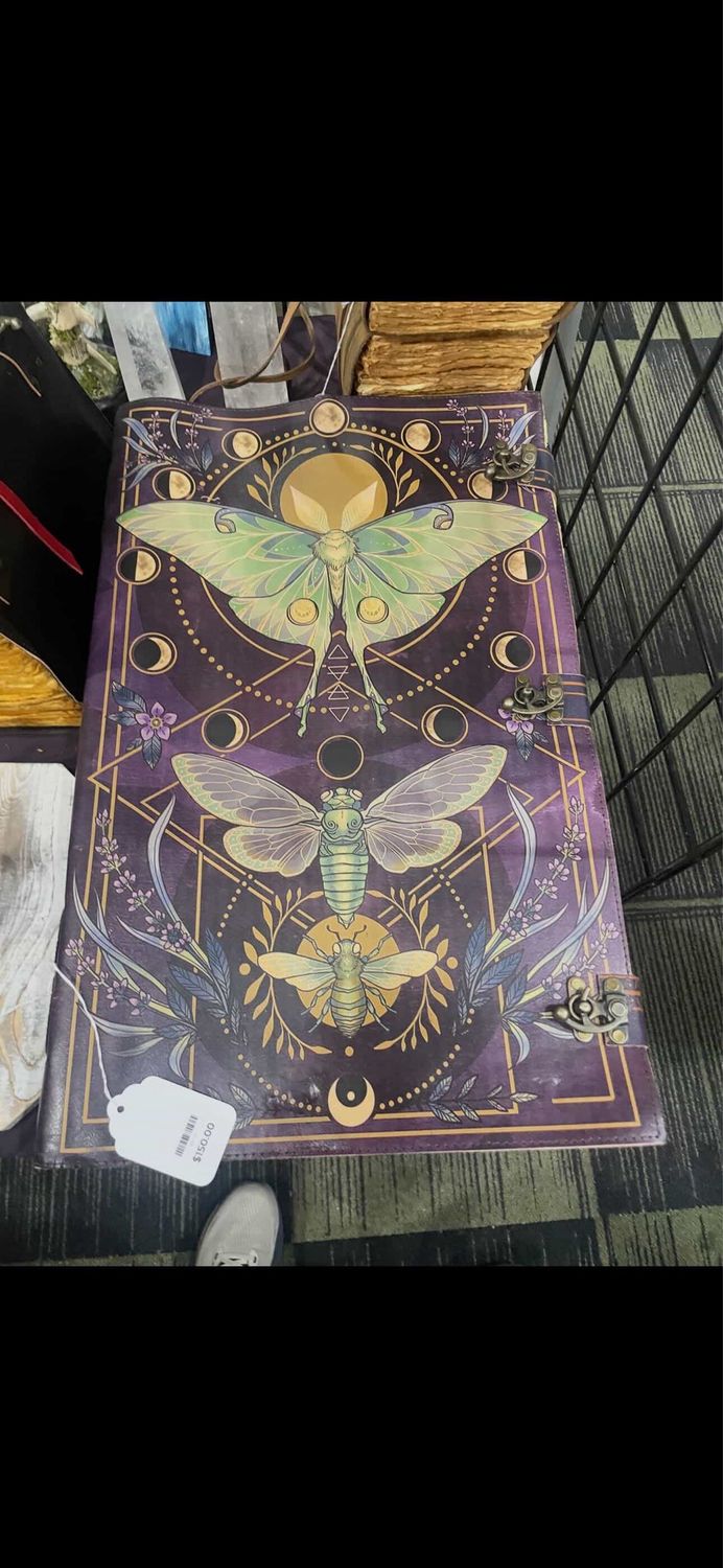 Journal For F.S. Reptiles