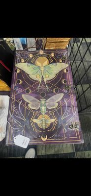 Journal For F.S. Reptiles