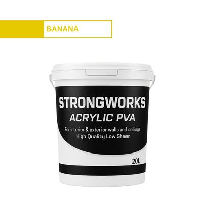 Strongworks Acrylic PVA Paint 20L