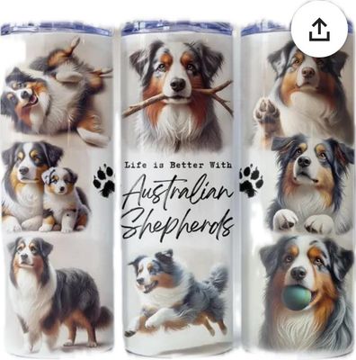 Stainless Steel tumblers