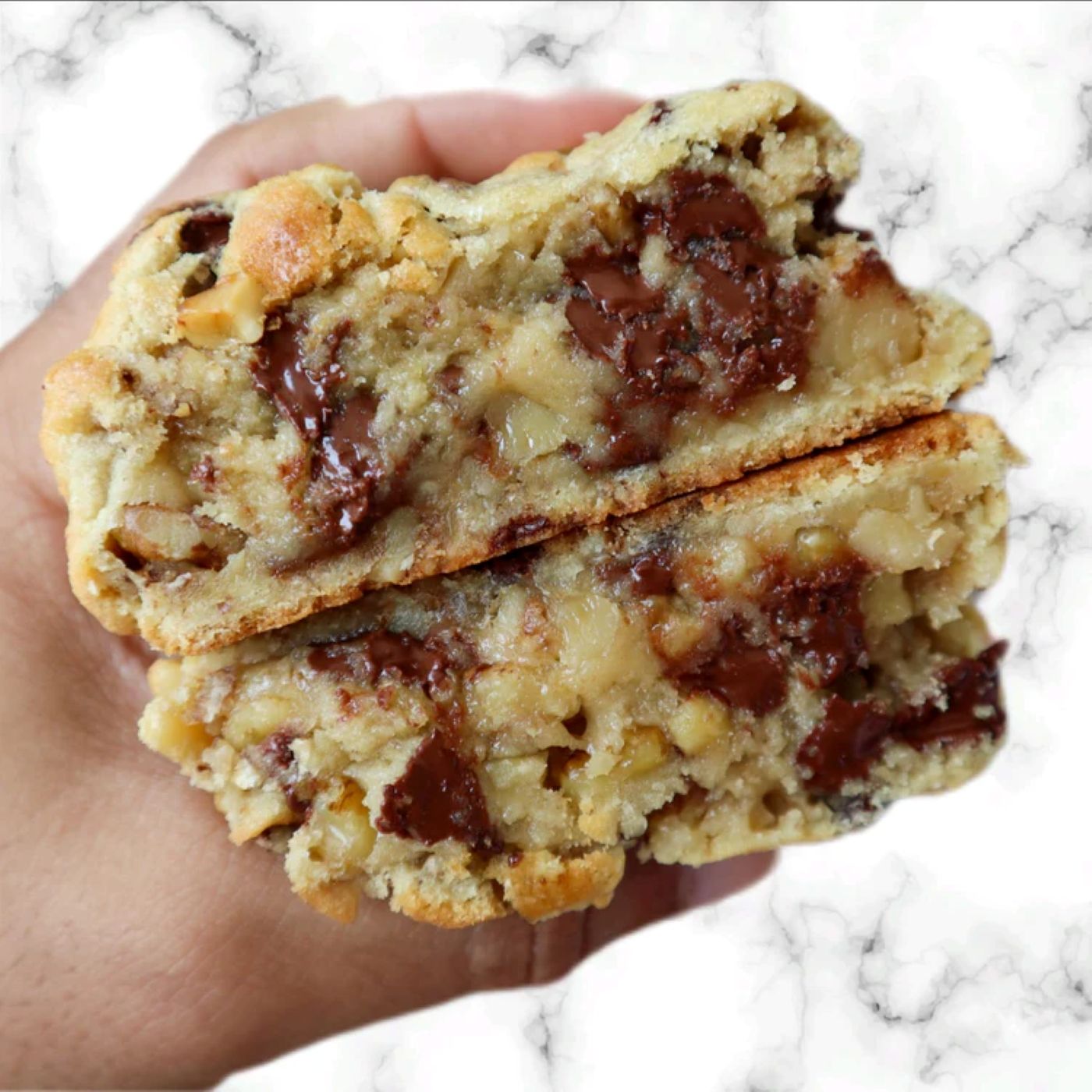 Chocolate Chip Walnut