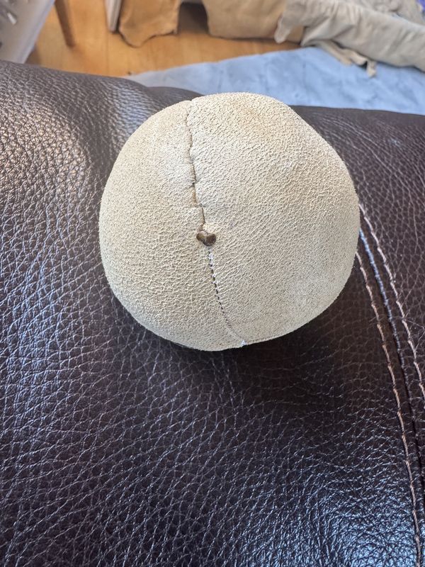 Lacrosse ball workshop