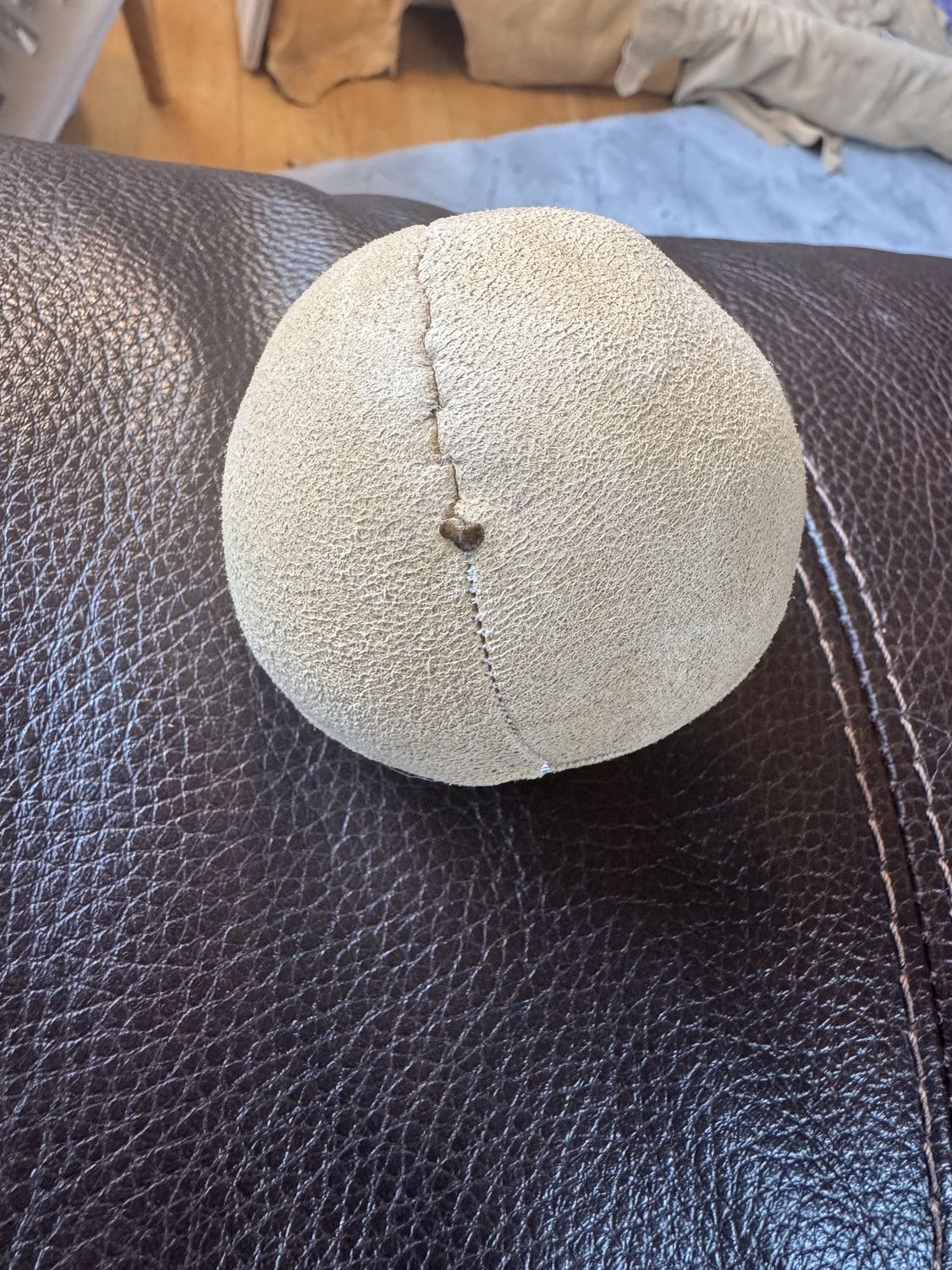 Biikwaakwad (lacrosse ball)