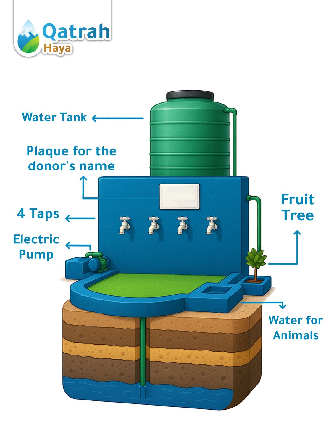 Medium Artesian Well with Tank and Pump, Equipped with 4 Drinking Taps