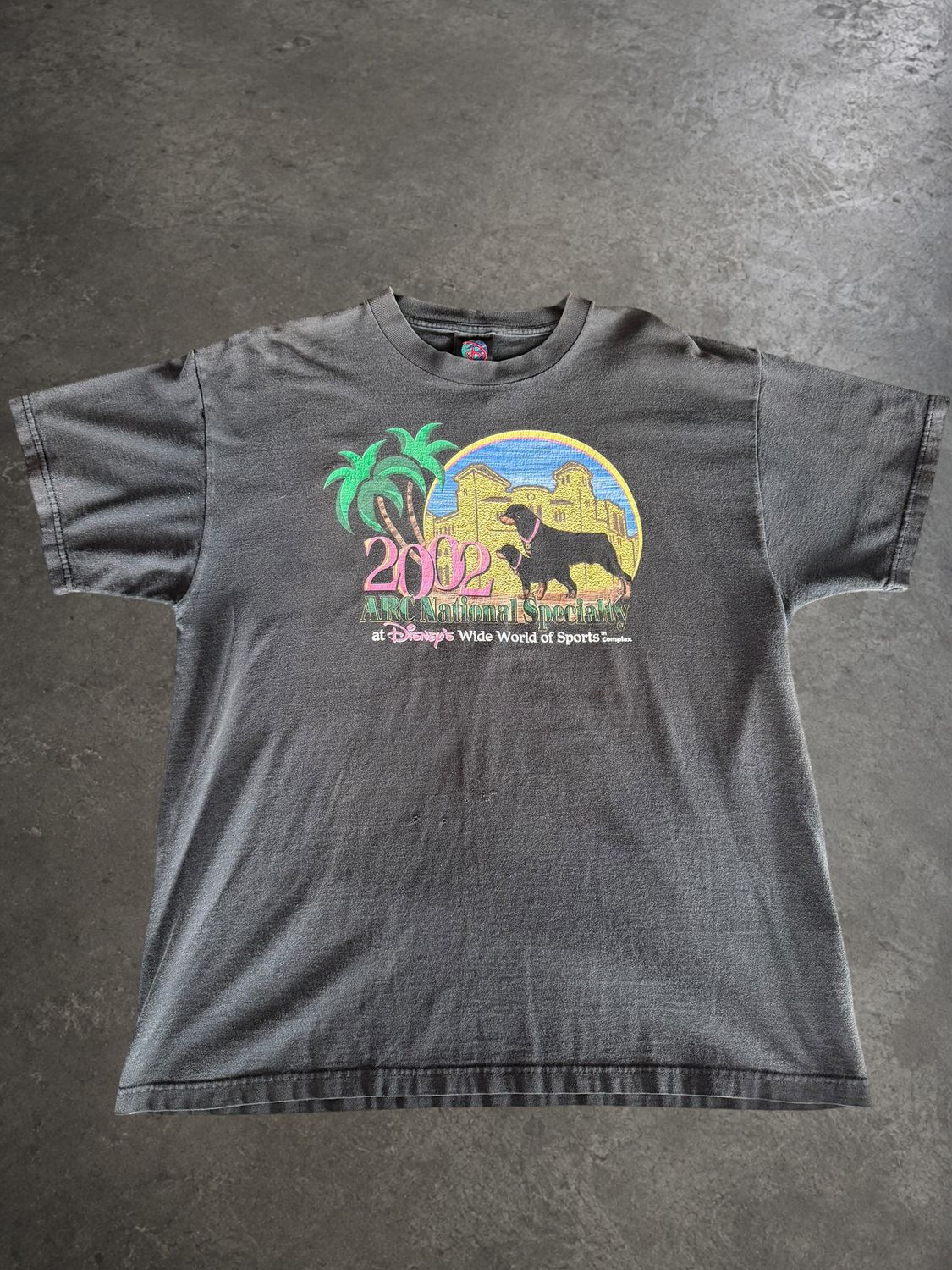 2002 Disney Doberman Faded Tee