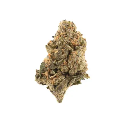 High Hippy Premium THCa Flower, Dirty Taxi, Sativa Strain, 3.5g Jar, 32.10% THCa