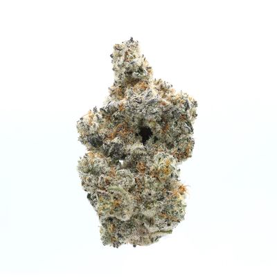 High Hippy Premium THCa Flower, Lechron James, Hybrid Strain, 3.5g Jar, 35.85% THCa
