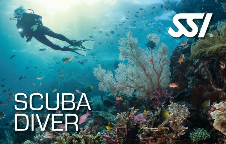 Kit numérique formation Scuba Diver