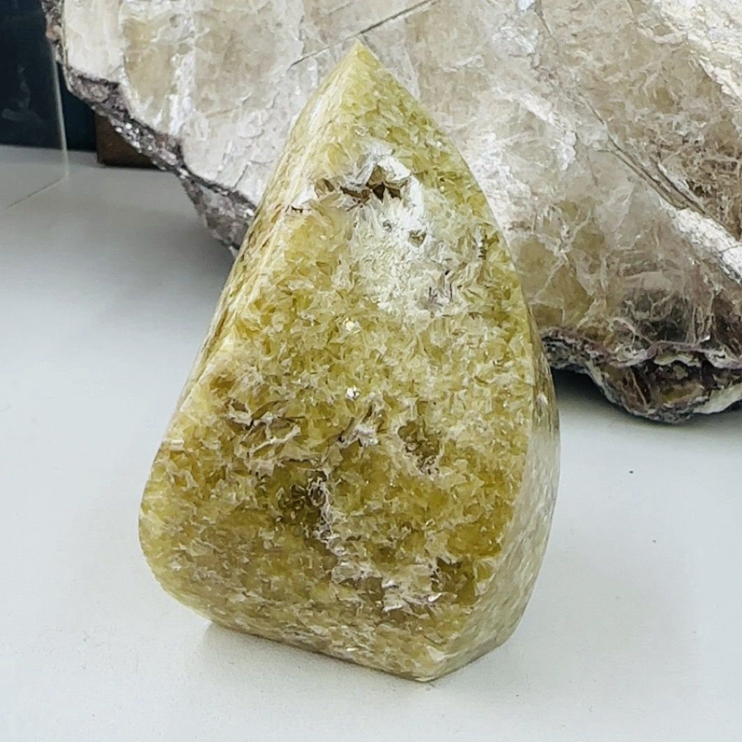 Golden Muscovite 9cm