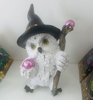 Wise Magical Owl