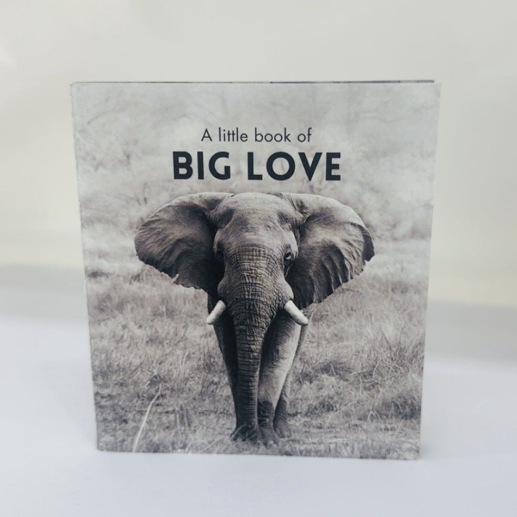 Little Book - Big Love