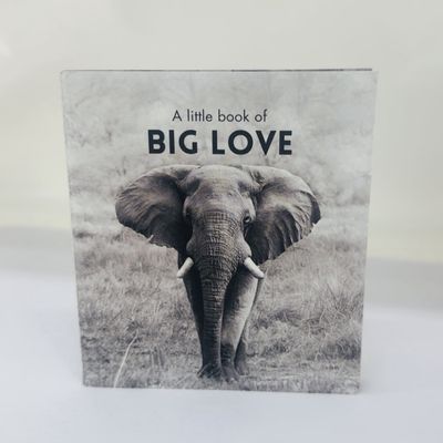 Little Book - Big Love