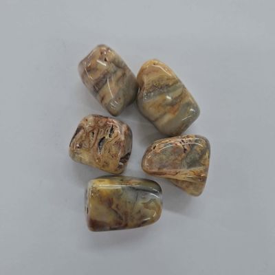 Crazy Lace Agate Tumbled