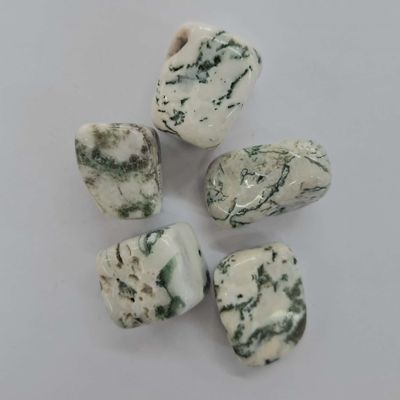 Dendritic Agate Tumbled
