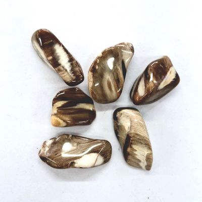 Peanutwood Jasper Tumbled