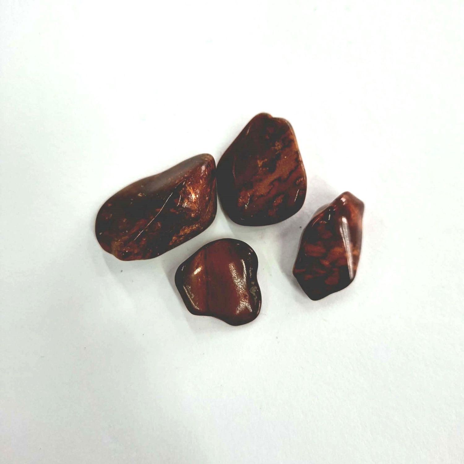 Petrified Wood tumbled