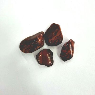 Petrified Wood tumbled