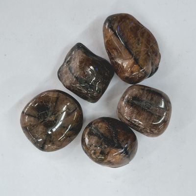 Chiastolite Tumbled
